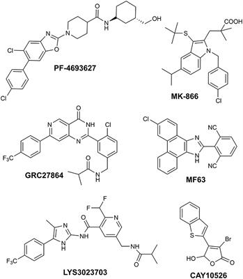 Identification of 2-(thiophen-2-yl)acetic Acid-Based Lead Compound for mPGES-1 Inhibition